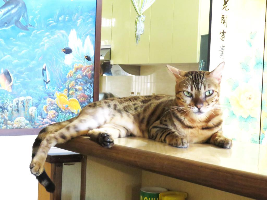 Tou Cheng Whale Watching Homestay Toucheng Eksteriør billede